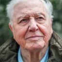 David Attenborough